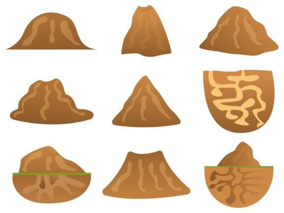 Anthill Ant Collection Hand Drawn: Graphics & Web Elements